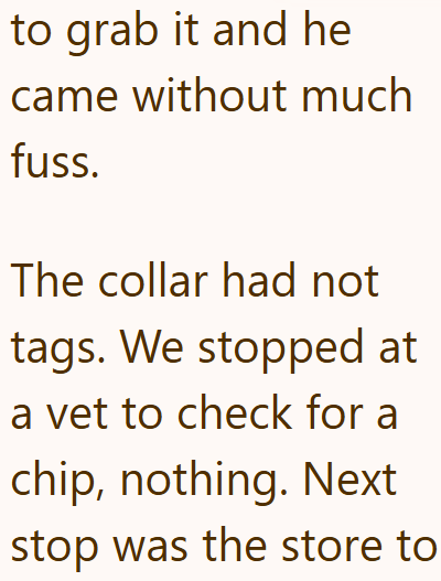 to grab it and he came without much fuss. The collar had not tags. We stopped at a vet to check for a chip, nothing. Next stop was the store to