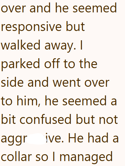 over and he seemed responsive but walked away. I parked off to the side and went over to him, he seemed a bit confused but not aggrive. He had a collar so I managed