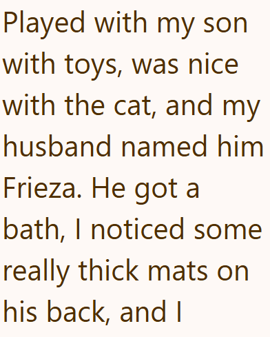 Played with my son with toys, was nice with the cat, and my husband named him Frieza. He got a bath, I noticed some really thick mats on his back, and I