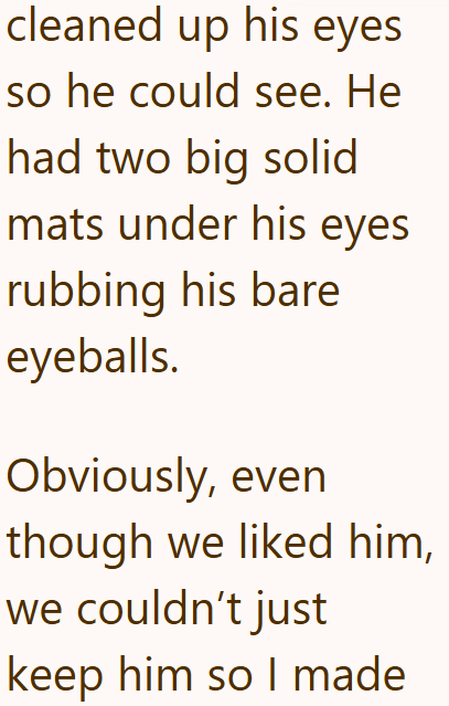 cleaned up his eyes so he could see. He had two big solid mats under his eyes rubbing his bare eyeballs. Obviously, even though we liked him, we couldn't just keep him so I made