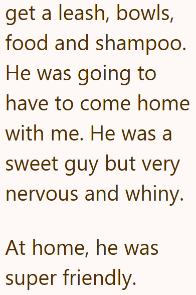 get a leash, bowls, food and shampoo. He was going to have to come home with me. He was a sweet guy but very nervous and whiny. At home, he was super friendly.
