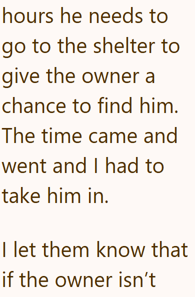hours he needs to go to the shelter to give the owner a chance to find him. The time came and went and I had to take him in. I let them know that if the owner isn't