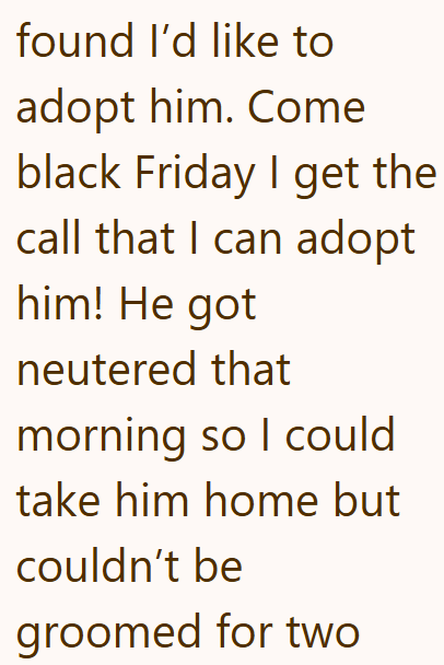 found I'd like to adopt him. Come black Friday I get the call that I can adopt him! He got neutered that morning so I could take him home but couldn't be groomed for two
