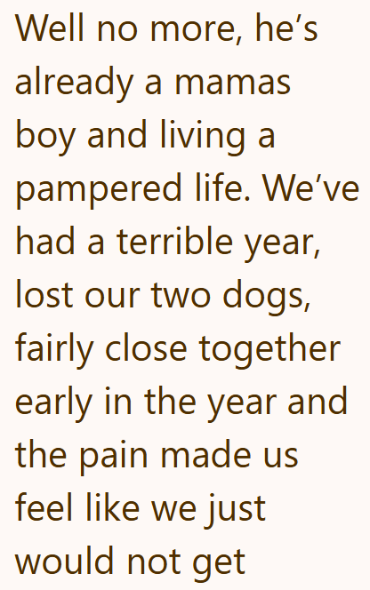 Well no more, he's already a mamas boy and living a pampered life. We've had a terrible year, lost our two dogs, fairly close together early in the year and the pain made us feel like we just would not get
