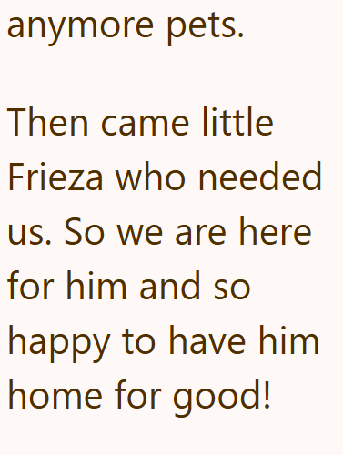 anymore pets. Then came little Frieza who needed us. So we are here for him and so happy to have him home for good!