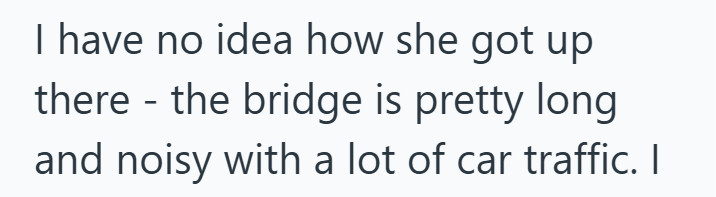 I have no idea how she got up there - the bridge is pretty long and noisy with a lot of car traffic. I