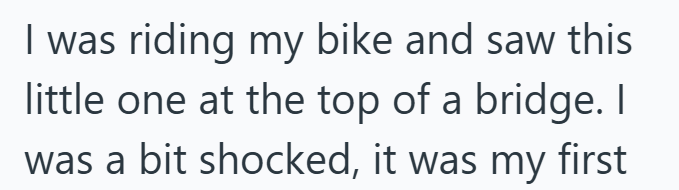I was riding my bike and saw this little one at the top of a bridge. I was a bit shocked, it was my first