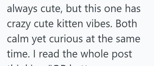always cute, but this one has crazy cute kitten vibes. Both calm yet curious at the same time. I read the whole post