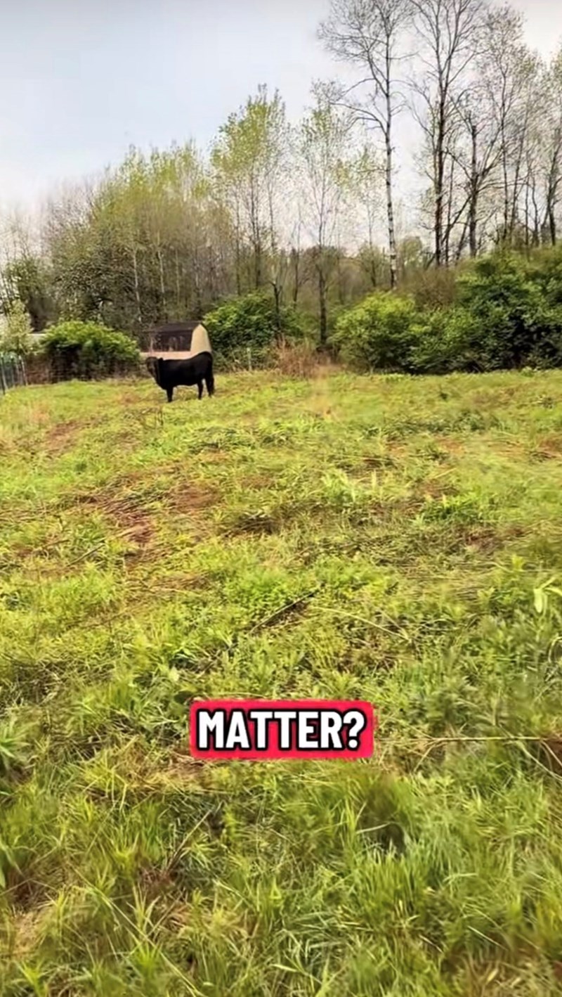 MATTER?