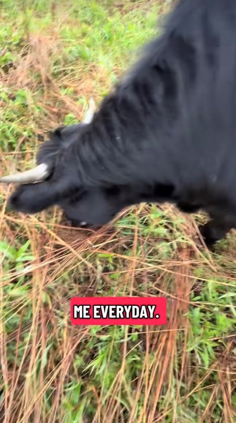 ME EVERYDAY.