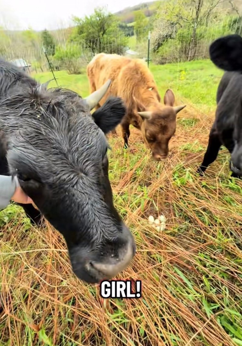 GIRL!
