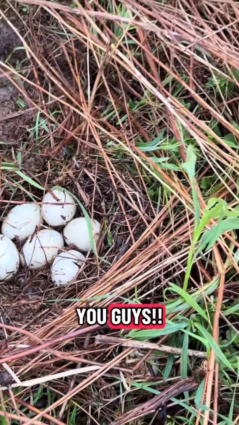 YOU GUYS!!