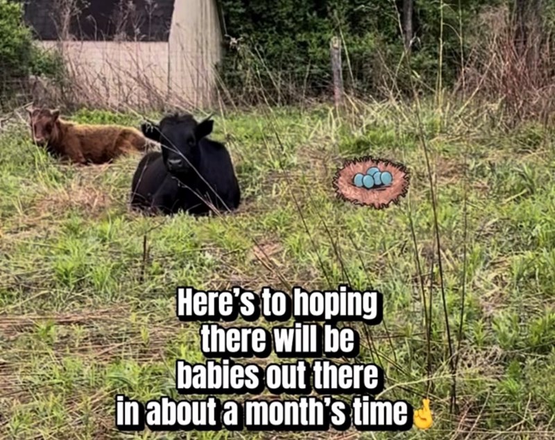 Here's to hoping there will be babies out there in about a month's time