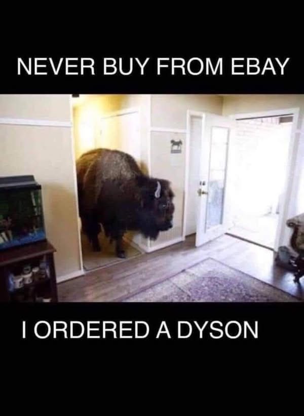 NEVER BUY FROM EBAY 扫 16 I ORDERED A DYSON