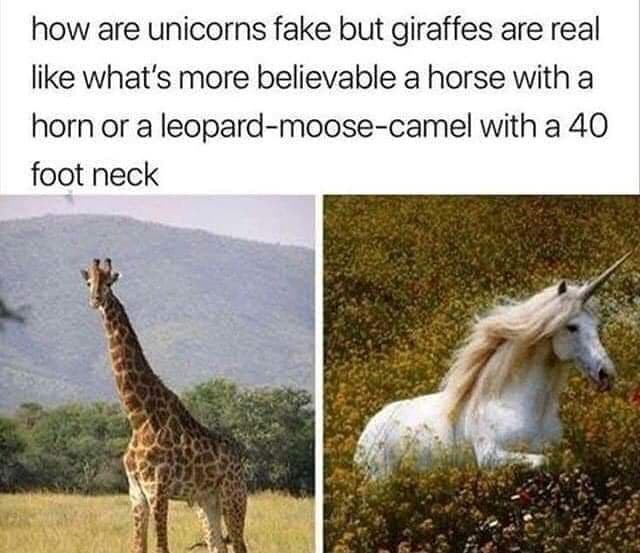 how are unicorns fake but giraffes are real like what's more believable a horse with a horn or a leopard-moose-camel with a 40 foot neck