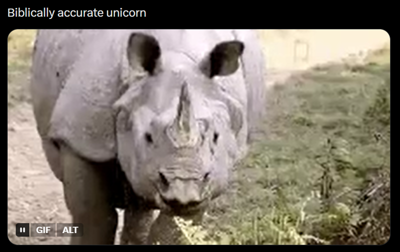 Biblically accurate unicorn II GIF ALT