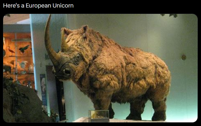 Here's a European Unicorn