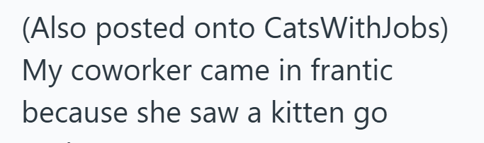 (Also posted onto CatsWithJobs) My coworker came in frantic because she saw a kitten go