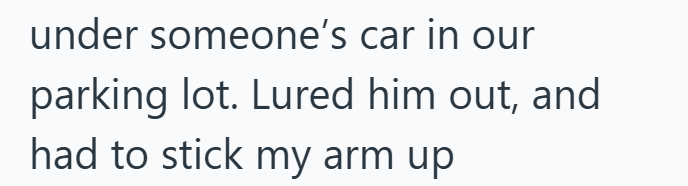 under someone's car in our parking lot. Lured him out, and had to stick my arm up