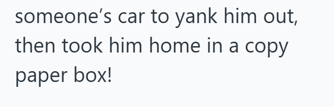 someone's car to yank him out, then took him home in a copy paper box!