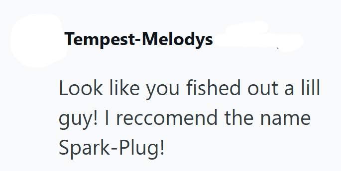 Tempest-Melodys Look like you fished out a lill guy! I reccomend the name Spark-Plug!