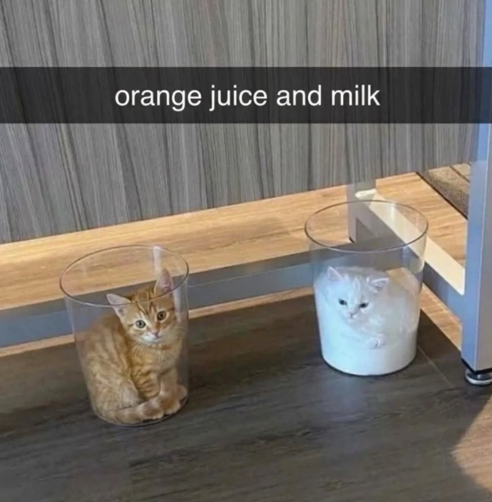 orange juice and milk