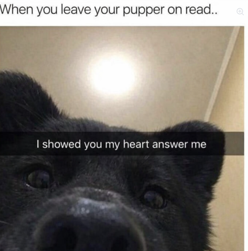 When you leave your pupper on read.. I showed you my heart answer me