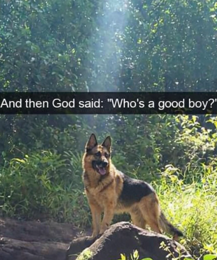 And then God said: "Who's a good boy?"
