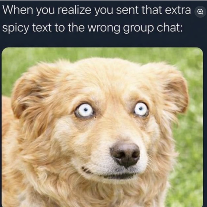 When you realize you sent that extra spicy text to the wrong group chat: