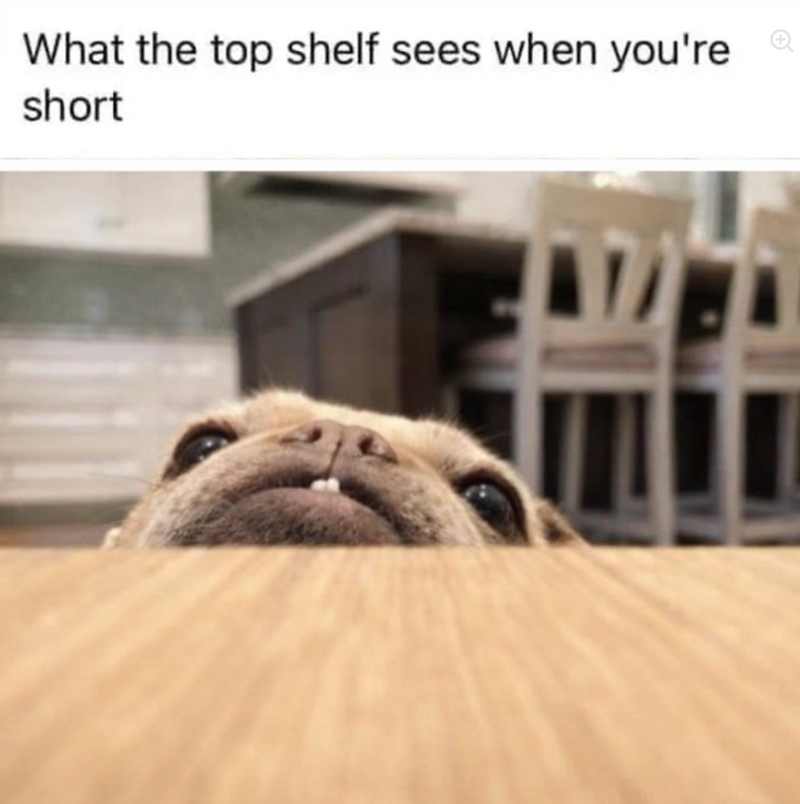 What the top shelf sees when you're short