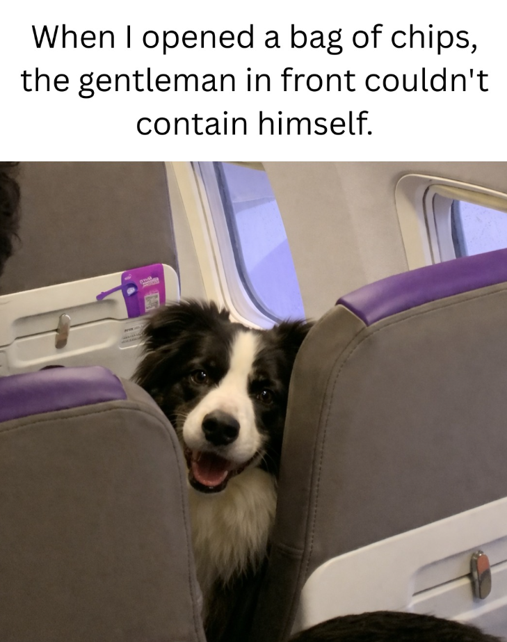 When I opened a bag of chips, the gentleman in front couldn't contain himself.