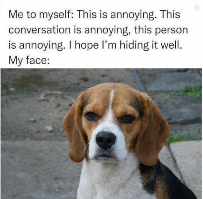 Me to myself: This is annoying. This conversation is annoying, this person is annoying. I hope I'm hiding it well. My face:
