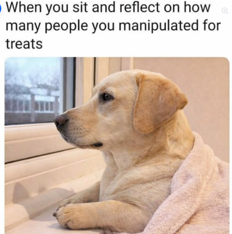 When you sit and reflect on how many people you manipulated for treats