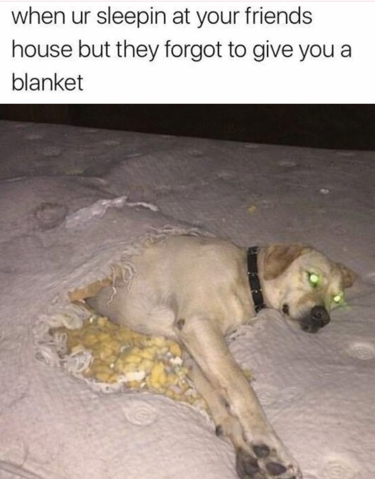 when ur sleepin at your friends house but they forgot to give you a blanket