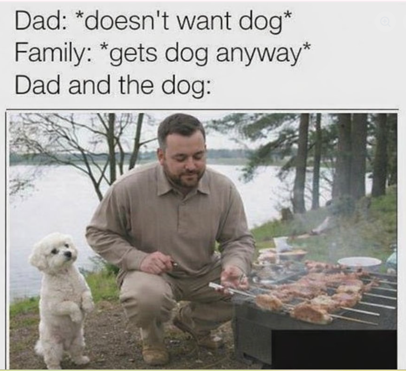 Dad: *doesn't want dog* Family: *gets dog anyway* Dad and the dog: