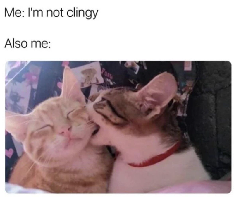 Me: I'm not clingy Also me: Forg