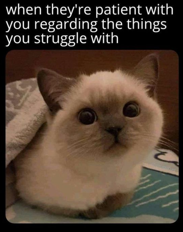 when they're patient with you regarding the things you struggle with