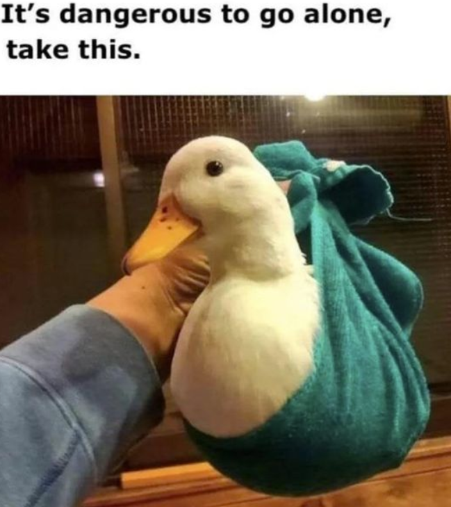 It's dangerous to go alone, take this.