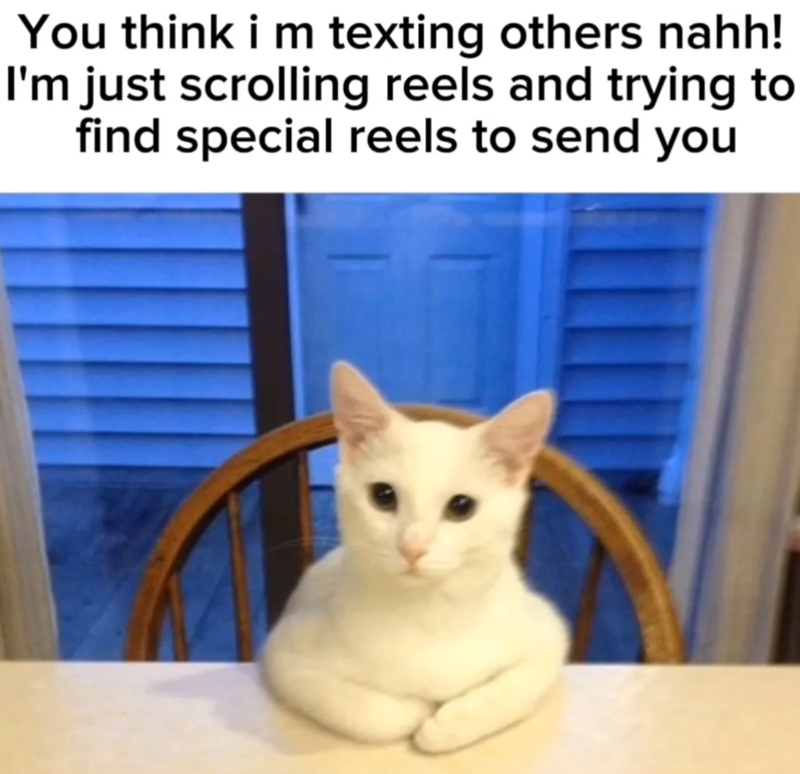 You think i m texting others nahh! I'm just scrolling reels and trying to find special reels to send you
