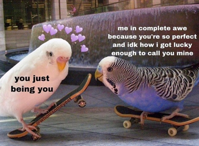you just being you @wholesomeyeet me in complete awe because you're so perfect and idk how i got lucky enough to call you mine