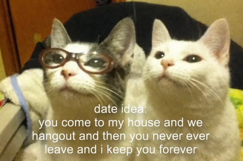 date idea: you come to my house and we hangout and then you never ever leave and i keep you forever