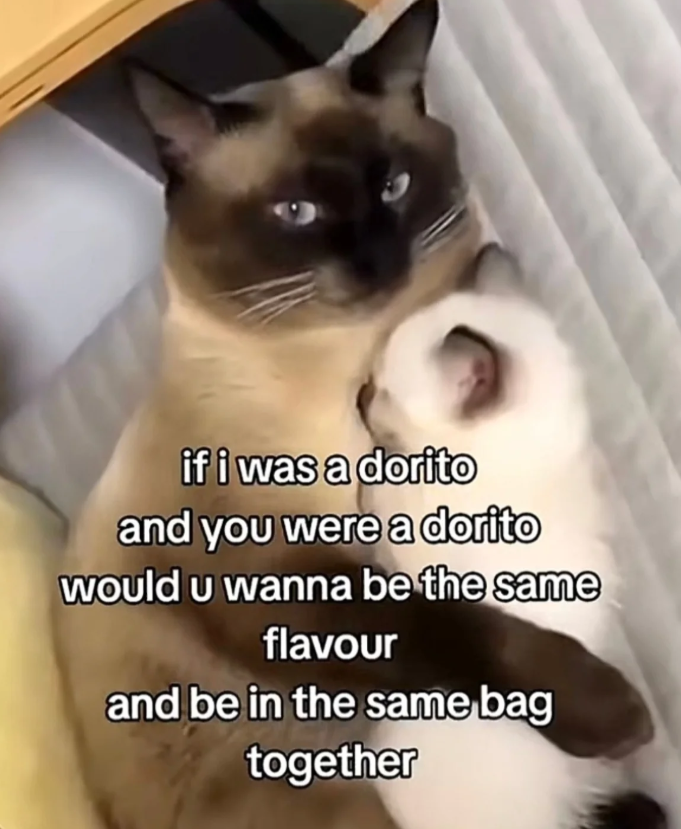 if i was a dorito and you were a dorito would u wanna be the same flavour and be in the same bag together