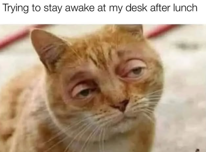 Trying to stay awake at my desk after lunch