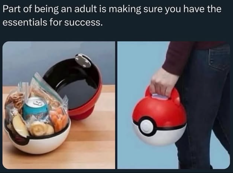 Part of being an adult is making sure you have the essentials for success.