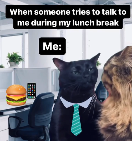 When someone tries to talk to me during my lunch break Me: