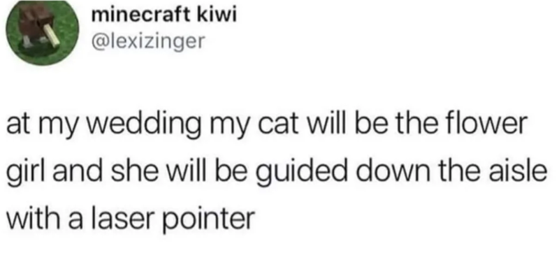 minecraft kiwi @lexizinger at my wedding my cat will be the flower girl and she will be guided down the aisle with a laser pointer