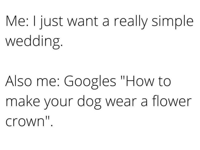 Me: I just want a really simple. wedding. Also me: Googles "How to make your dog wear a flower crown".