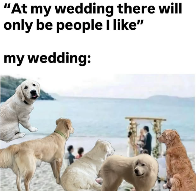 "At my wedding there will only be people I like" my wedding: