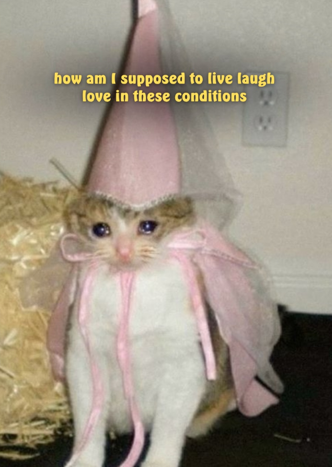 how am I supposed to live laugh love in these conditions