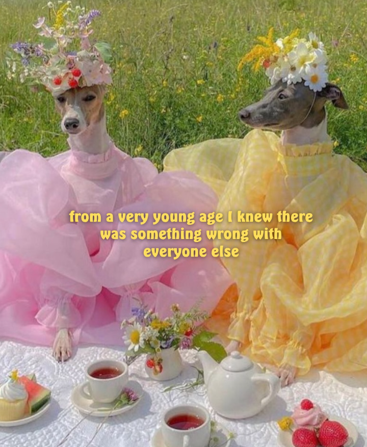 from a very young age I knew there was something wrong with everyone else